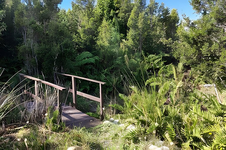 Oceana Suites: Entre Verdes, Los Lagos.