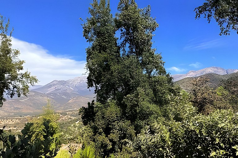 Oceana Suites: Bosques de Aculeo, Paine.