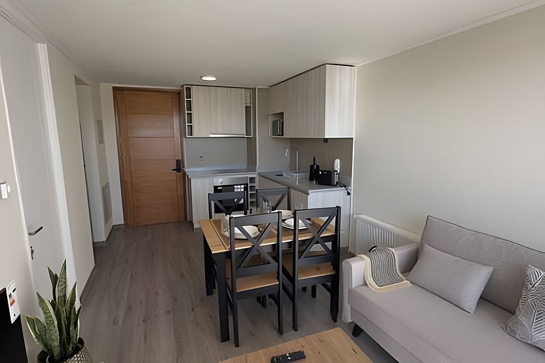 Wonderful apartment in downtown Concepción.