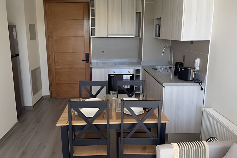 Wonderful apartment in downtown Concepción.