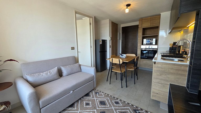 Incredible apartment in Santiago Centro.