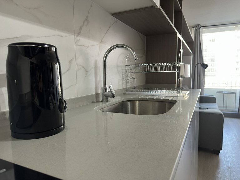 Wonderful apartment with an excellent location, Santiago.