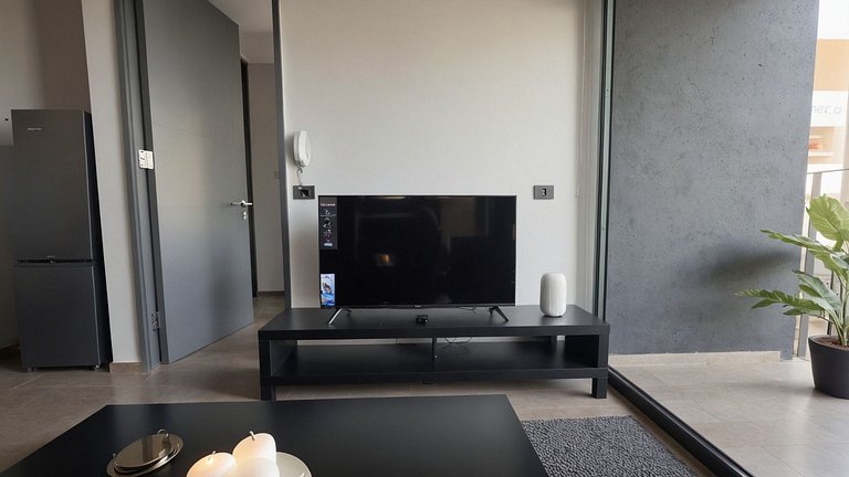 Incredible apartment with excellent connectivity, Santiago C