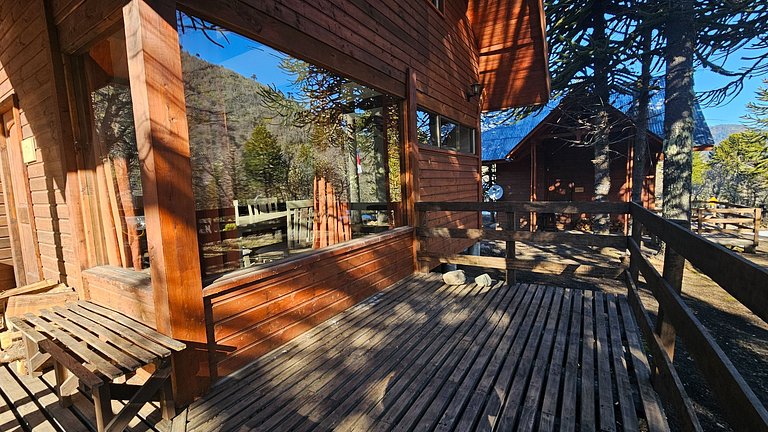 Incredible cabin minutes from Corralco SKI Center.