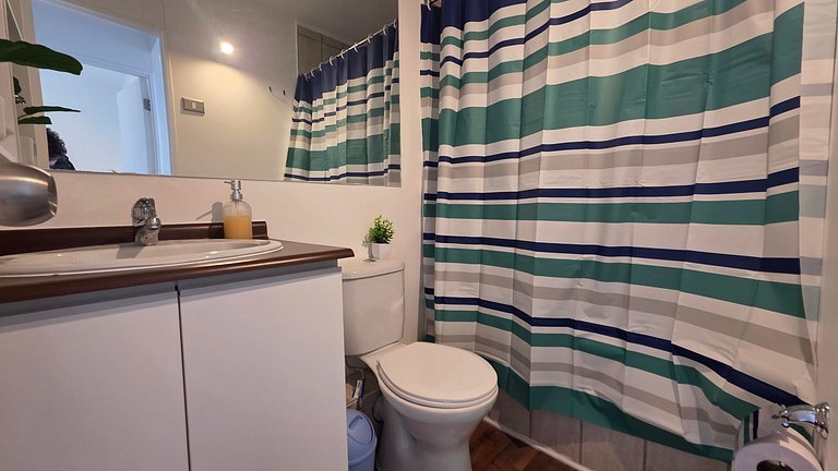 Apartment with lake view, Villarrica.