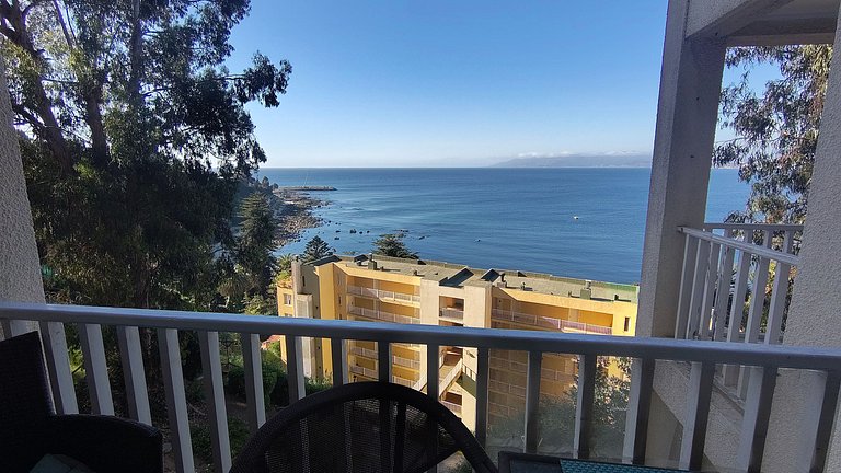 Apartamento com vista para o mar, Horcón.