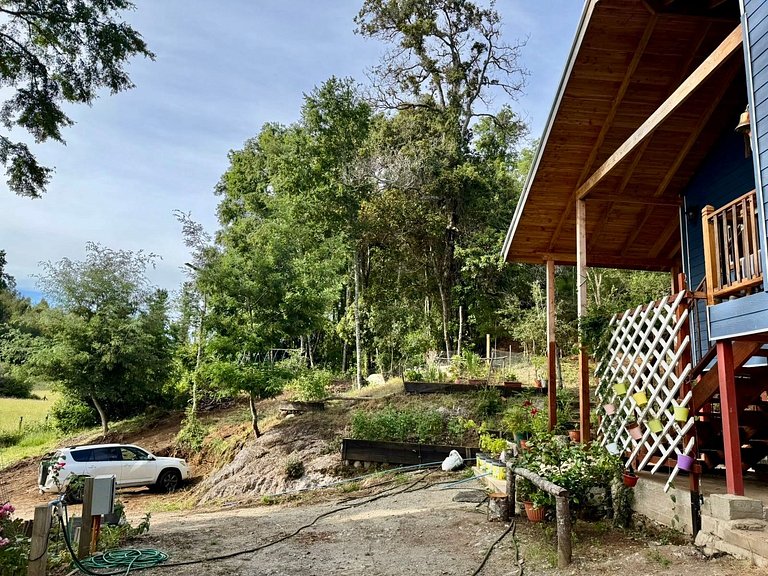 House surrounded by nature in Panguipulli.