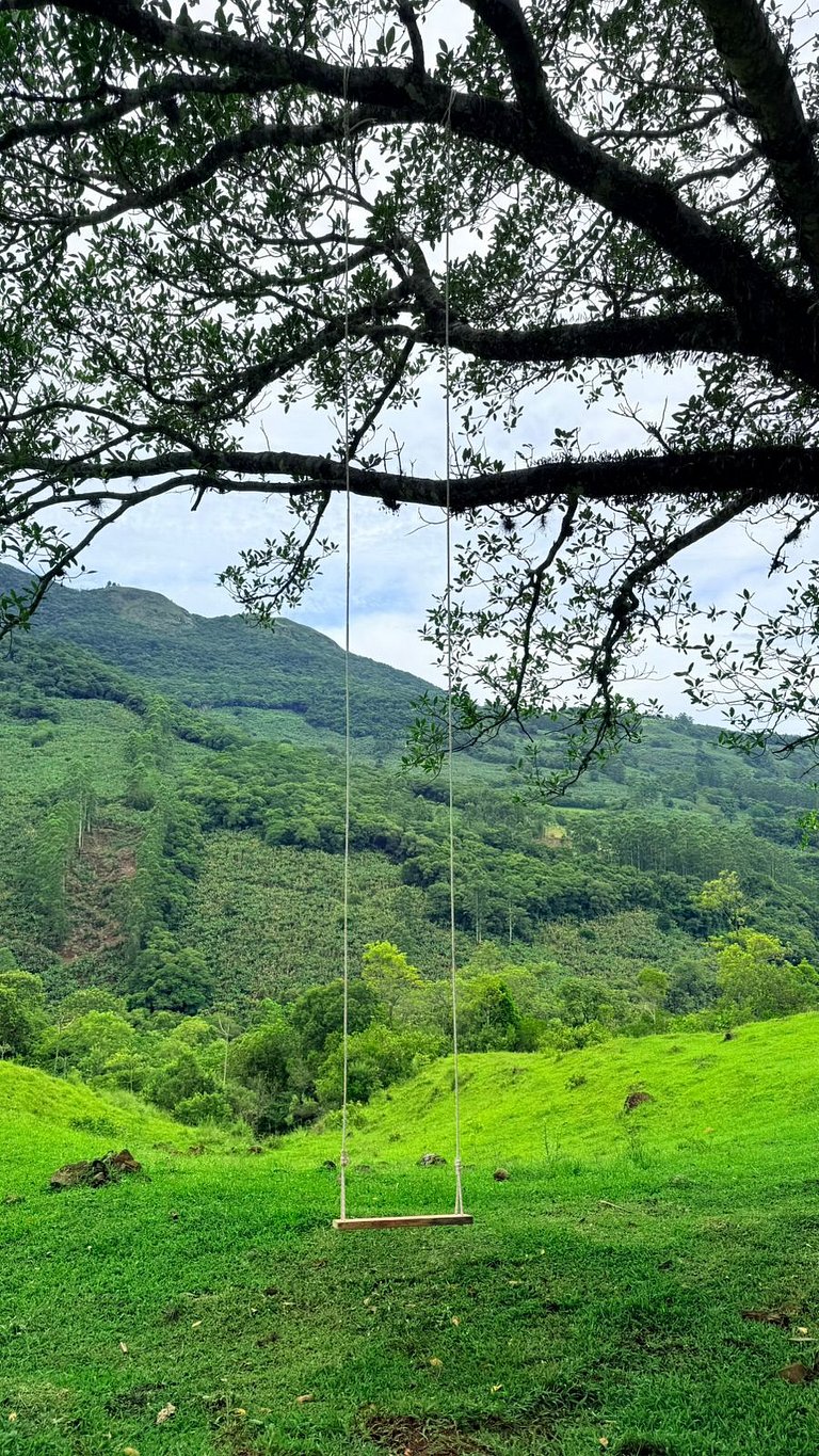 Refugio en la naturaleza con desayuno colonial