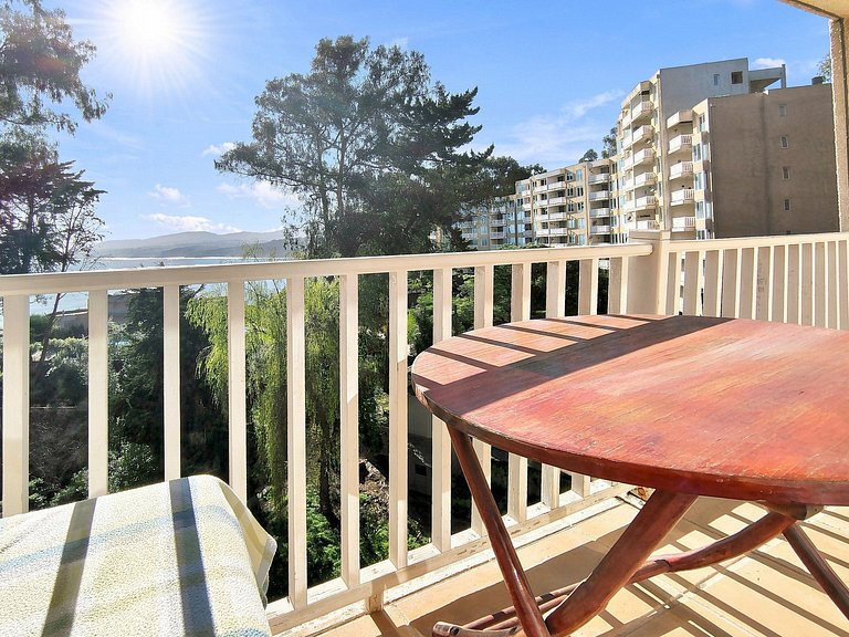Family apartment with ocean view in Horcón
