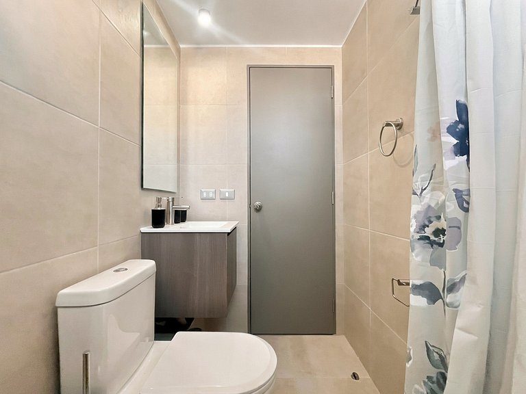 Apartment in downtown Santiago