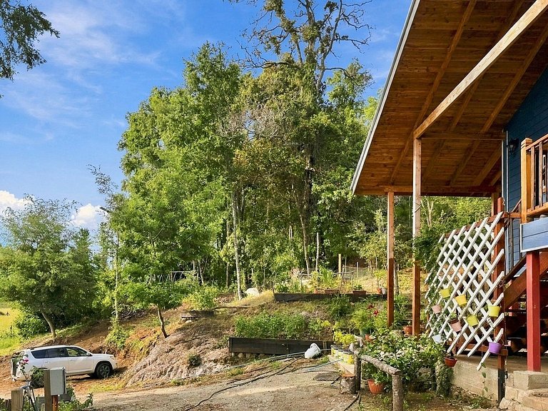Family house surrounded by nature in Panguipulli